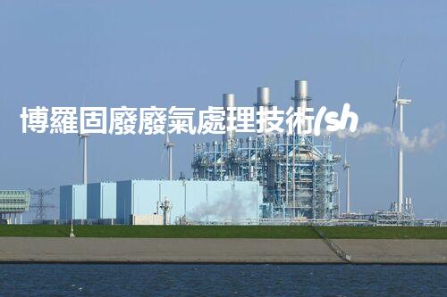 博羅固廢廢氣處理技術(shù)，到底有多厲害？